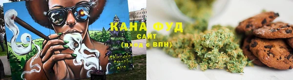шишки Белоозёрский