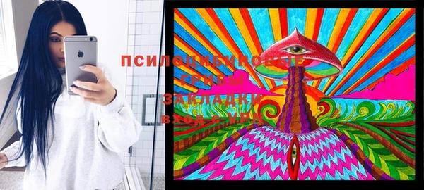 молекула духа Саяногорск