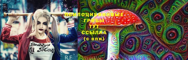 гидра Баксан