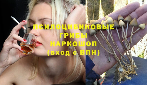 гидра Баксан