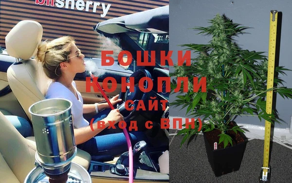шишки Белоозёрский